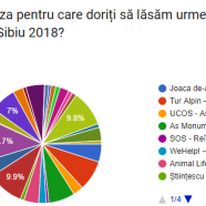 Rezultate vot public cauze Maratonul Internațional Sibiu 2018