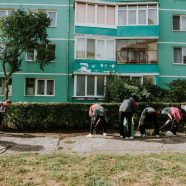 Curățenia de toamnă în Terezian (Zilele Vecinătății 2019)